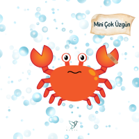 MİNİ ÇOK ÜZGÜN MİNİ ÇOK ÜZGÜN